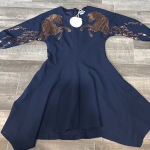 chloe dress